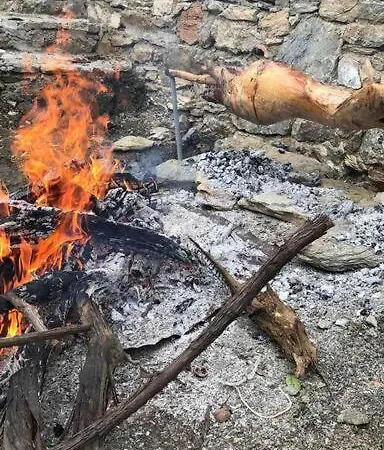 Tatil Evi Naturel Ege Köy Evi *