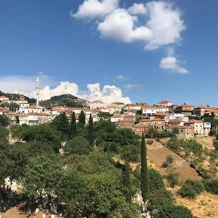 Tatil Evi Naturel Ege Köy Evi Seferihisar
