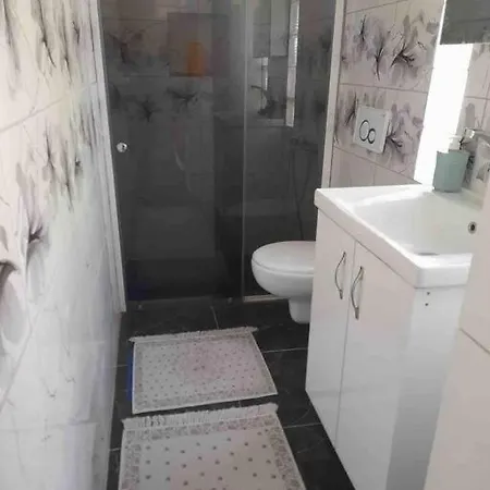 Naturel Ege Köy Evi